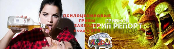 сатива Ельня