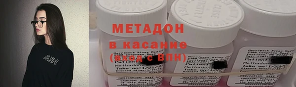 сатива Ельня