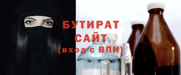 сатива Ельня