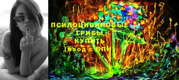 сатива Ельня