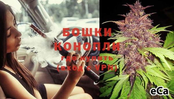 сатива Ельня