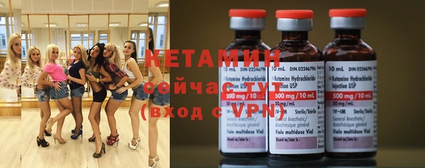 сатива Ельня