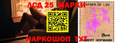 спиды Донской