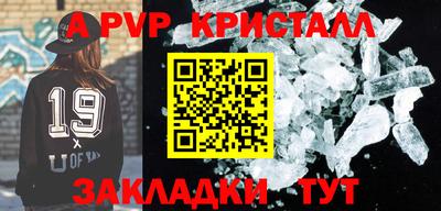 спиды Донской