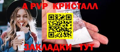 спиды Донской