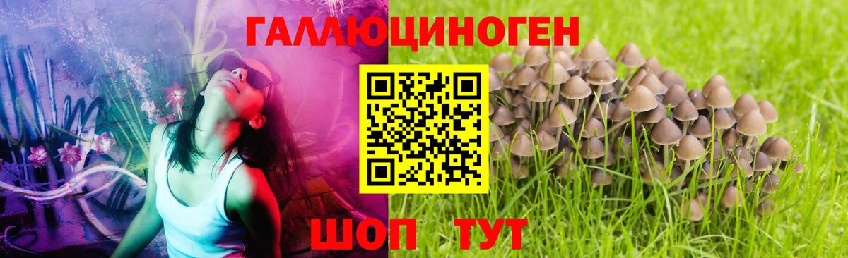 Псилоцибиновые грибы Magic Shrooms  Нурлат 