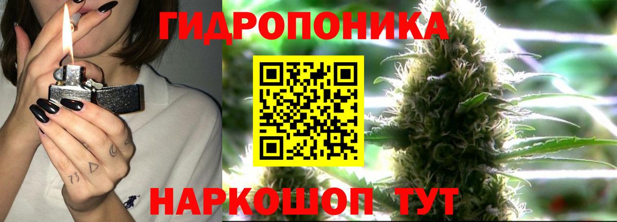 Канабис Bruce Banner  Бошки Шишки конопля  Вход с VPN  Нурлат 